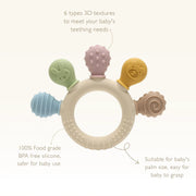 Multi-Head Baby Teether