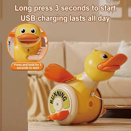 Electric rotating duck