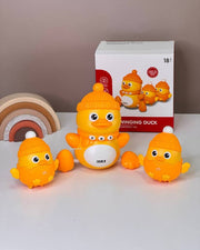 Duck Train Set
